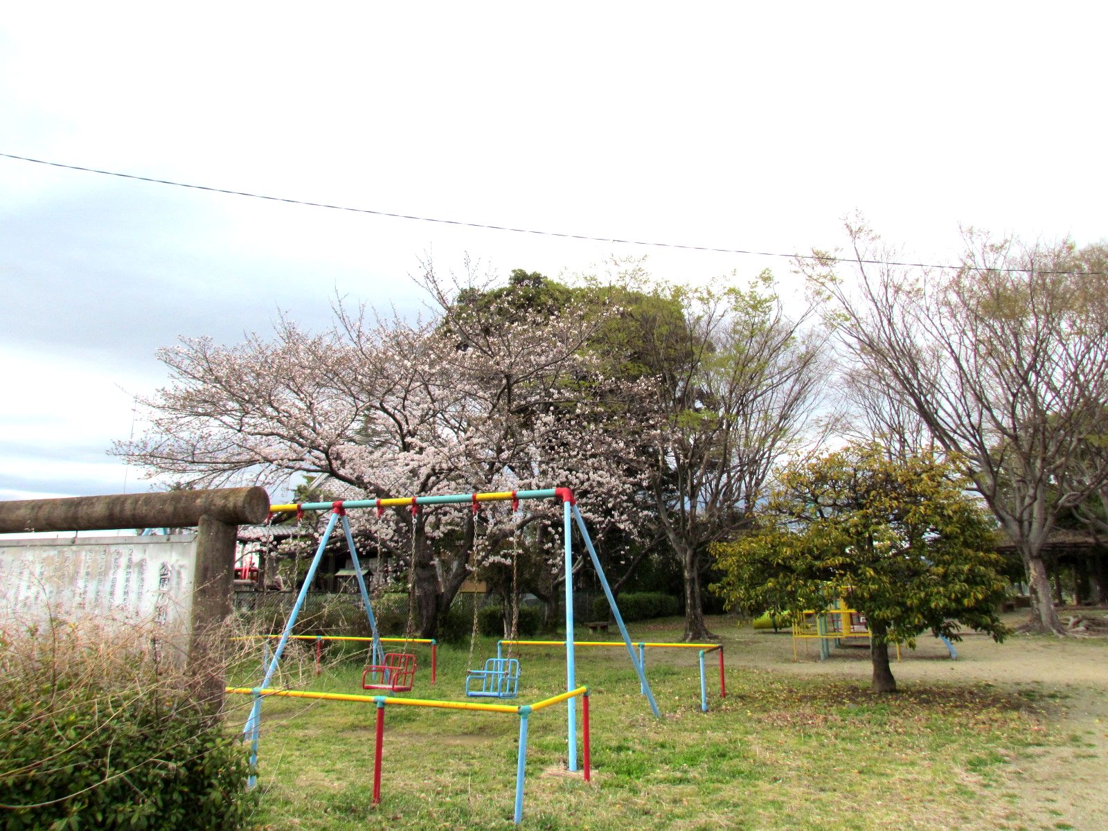 二ツ屋公園の桜